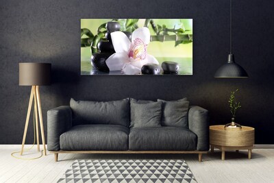 Foto schilderij op glas Bamboo orchid stones