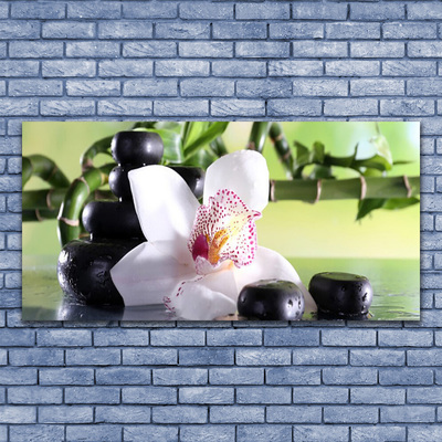 Foto schilderij op glas Bamboo orchid stones