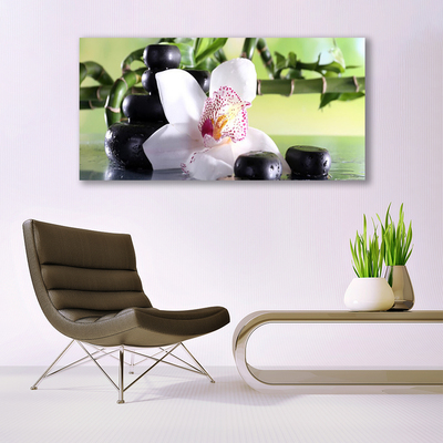 Foto schilderij op glas Bamboo orchid stones