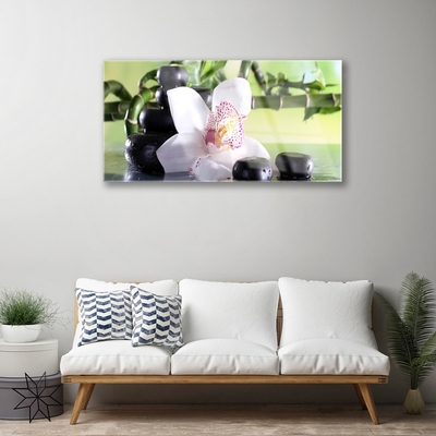 Foto schilderij op glas Bamboo orchid stones