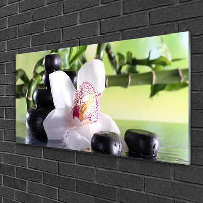 Foto schilderij op glas Bamboo orchid stones