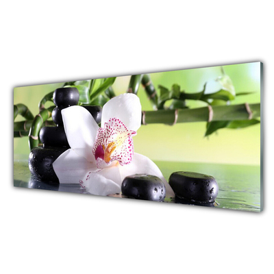 Foto schilderij op glas Bamboo orchid stones