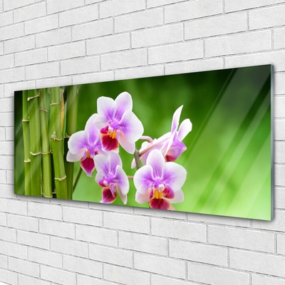 Foto schilderij op glas Bamboo orchid bloemen zen