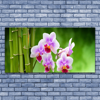 Foto schilderij op glas Bamboo orchid bloemen zen