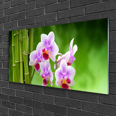 Foto schilderij op glas Bamboo orchid bloemen zen