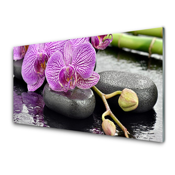 Foto schilderij op glas Orchidee orchidee zen spa