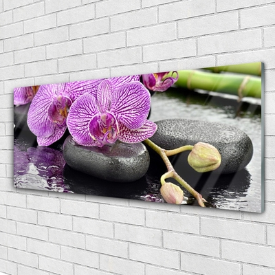 Foto schilderij op glas Orchidee orchidee zen spa