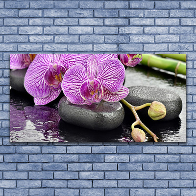 Foto schilderij op glas Orchidee orchidee zen spa