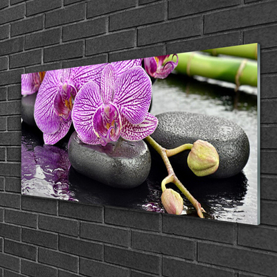 Foto schilderij op glas Orchidee orchidee zen spa