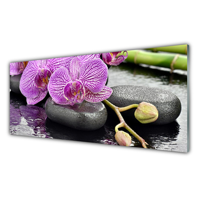 Foto schilderij op glas Orchidee orchidee zen spa