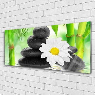 Foto schilderij op glas Bamboe daisy flower