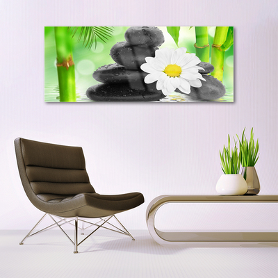 Foto schilderij op glas Bamboe daisy flower