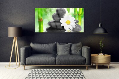 Foto schilderij op glas Bamboe daisy flower