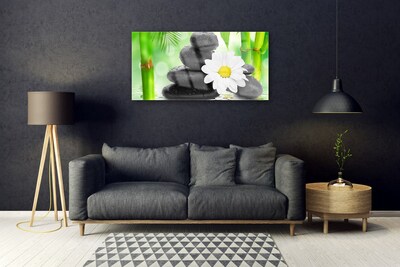 Foto schilderij op glas Bamboe daisy flower