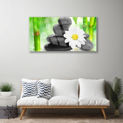 Foto schilderij op glas Bamboe daisy flower