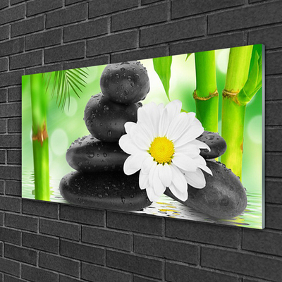 Foto schilderij op glas Bamboe daisy flower