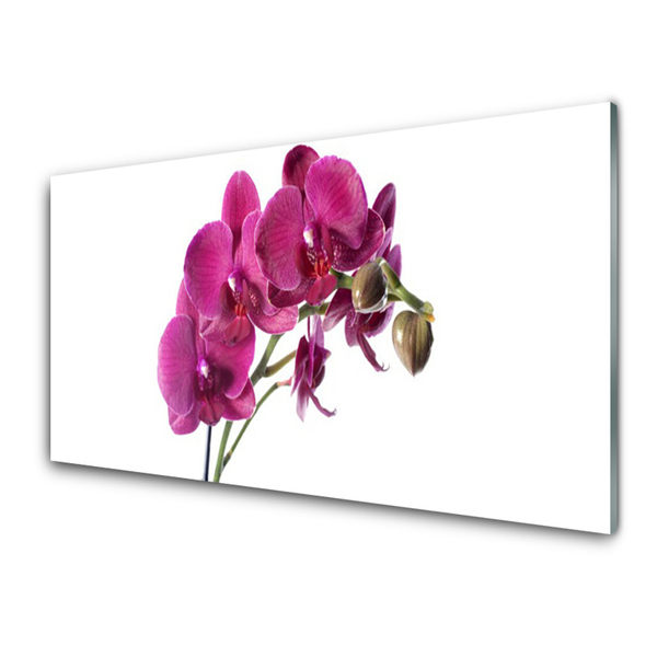 Foto schilderij op glas Orchideebloemen nature