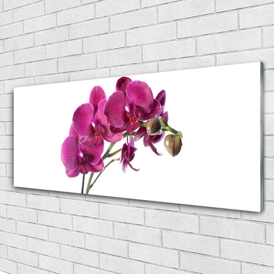 Foto schilderij op glas Orchideebloemen nature