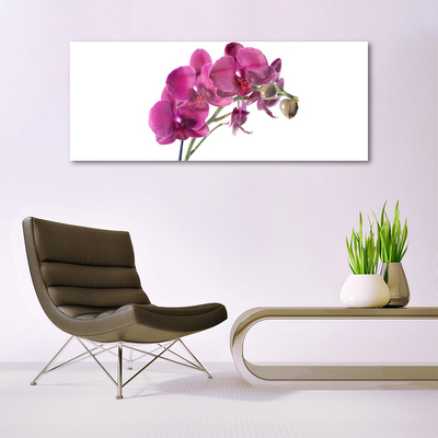 Foto schilderij op glas Orchideebloemen nature