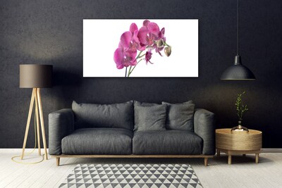 Foto schilderij op glas Orchideebloemen nature