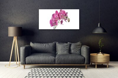 Foto schilderij op glas Orchideebloemen nature