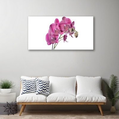 Foto schilderij op glas Orchideebloemen nature