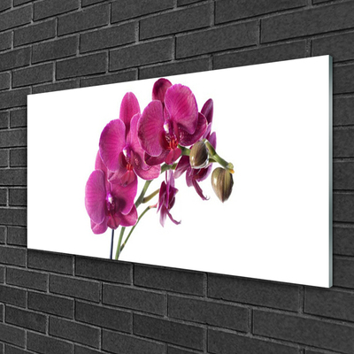 Foto schilderij op glas Orchideebloemen nature