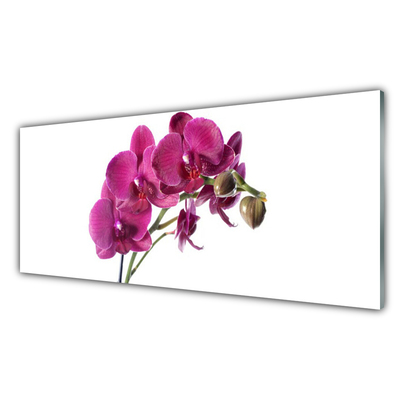 Foto schilderij op glas Orchideebloemen nature