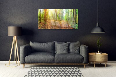 Foto schilderij op glas Zon forest nature path