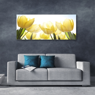Foto schilderij op glas Tulpen bloemen stralen