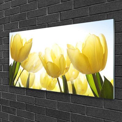 Foto schilderij op glas Tulpen bloemen stralen