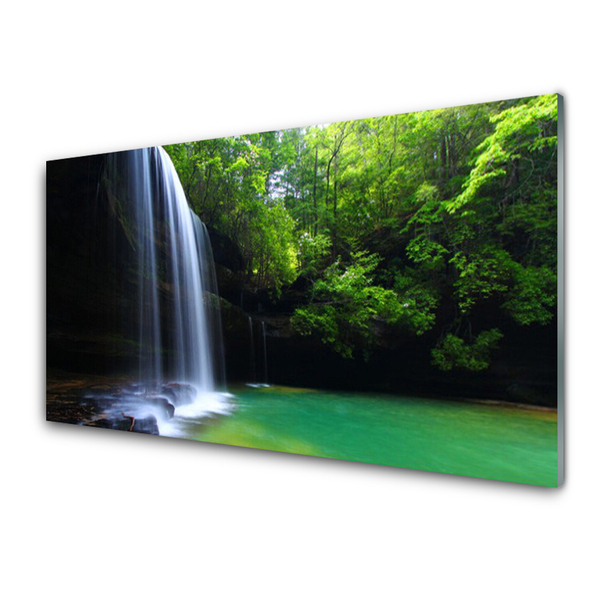 Foto schilderij op glas Natuur van de waterval forest lake