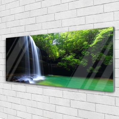 Foto schilderij op glas Natuur van de waterval forest lake