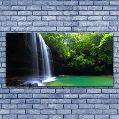 Foto schilderij op glas Natuur van de waterval forest lake