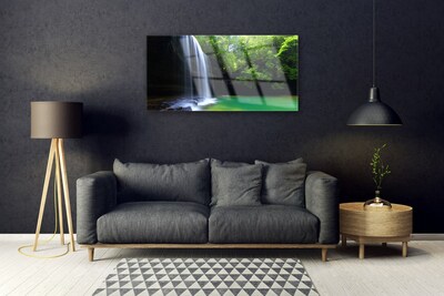 Foto schilderij op glas Natuur van de waterval forest lake