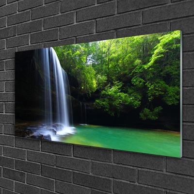 Foto schilderij op glas Natuur van de waterval forest lake