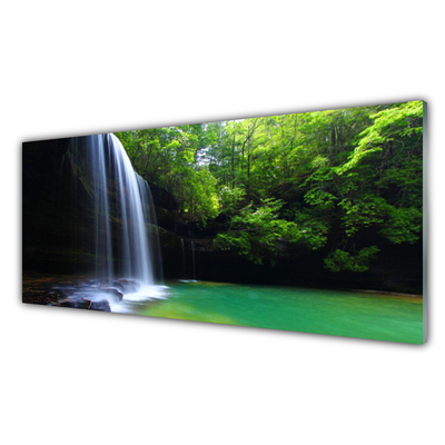 Foto schilderij op glas Natuur van de waterval forest lake