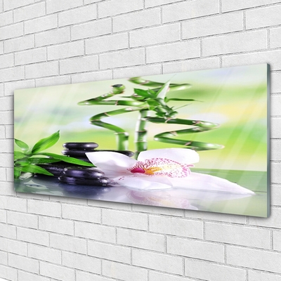 Foto schilderij op glas Bamboo orchid zen spa