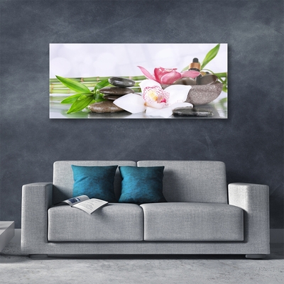 Foto schilderij op glas Bamboo orchid flowers