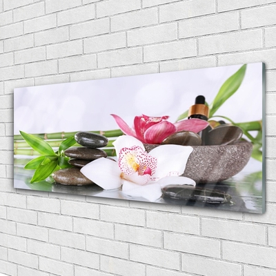 Foto schilderij op glas Bamboo orchid flowers
