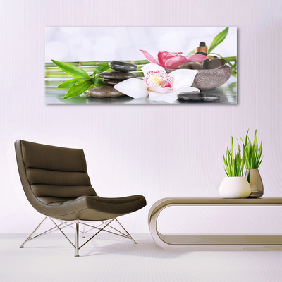 Foto schilderij op glas Bamboo orchid flowers