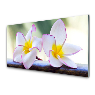 Foto schilderij op glas Plumeria bloemblaadjes