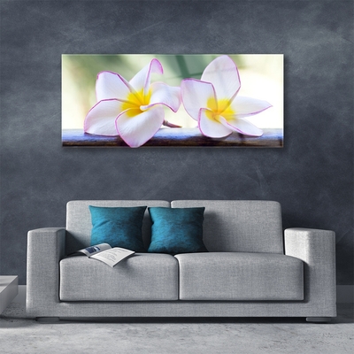 Foto schilderij op glas Plumeria bloemblaadjes