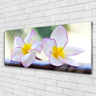 Foto schilderij op glas Plumeria bloemblaadjes