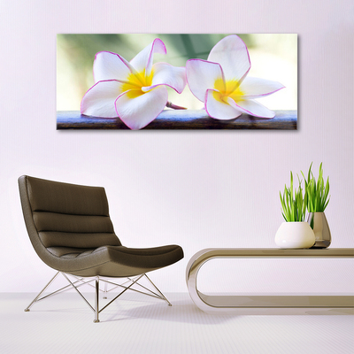 Foto schilderij op glas Plumeria bloemblaadjes