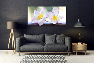 Foto schilderij op glas Plumeria bloemblaadjes