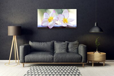 Foto schilderij op glas Plumeria bloemblaadjes