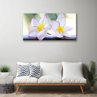 Foto schilderij op glas Plumeria bloemblaadjes