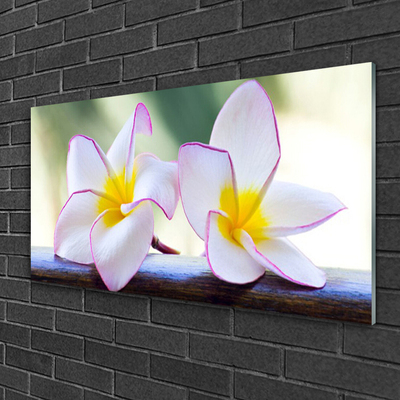 Foto schilderij op glas Plumeria bloemblaadjes