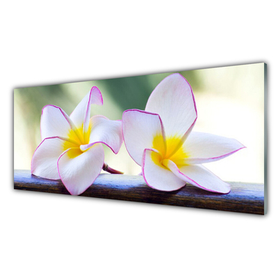 Foto schilderij op glas Plumeria bloemblaadjes